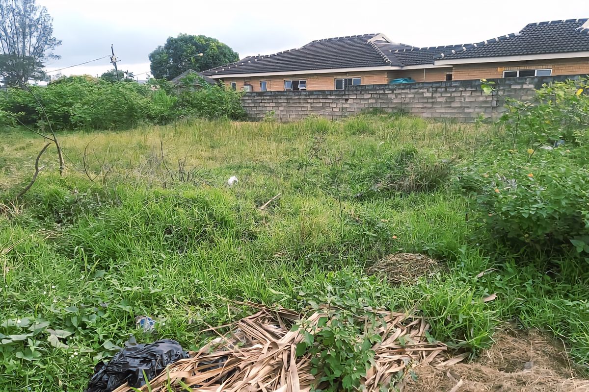 Vacant Land For Sale - Photo 3