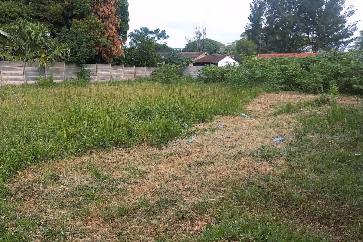 Vacant Land For Sale - Photo 4