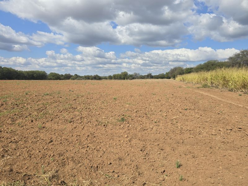22 ha Farm for Sale – Prime Sand River Property with Huge Potential - Photo 1