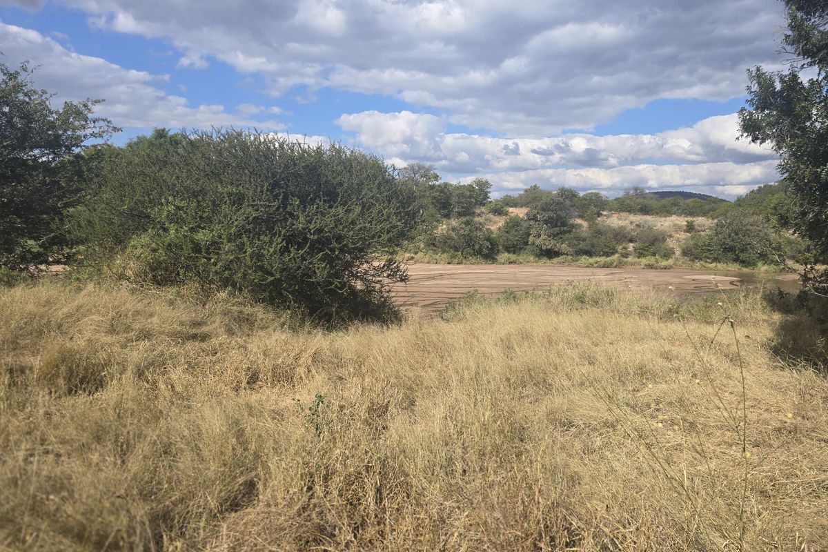 22 ha Farm for Sale – Prime Sand River Property with Huge Potential - Photo 2
