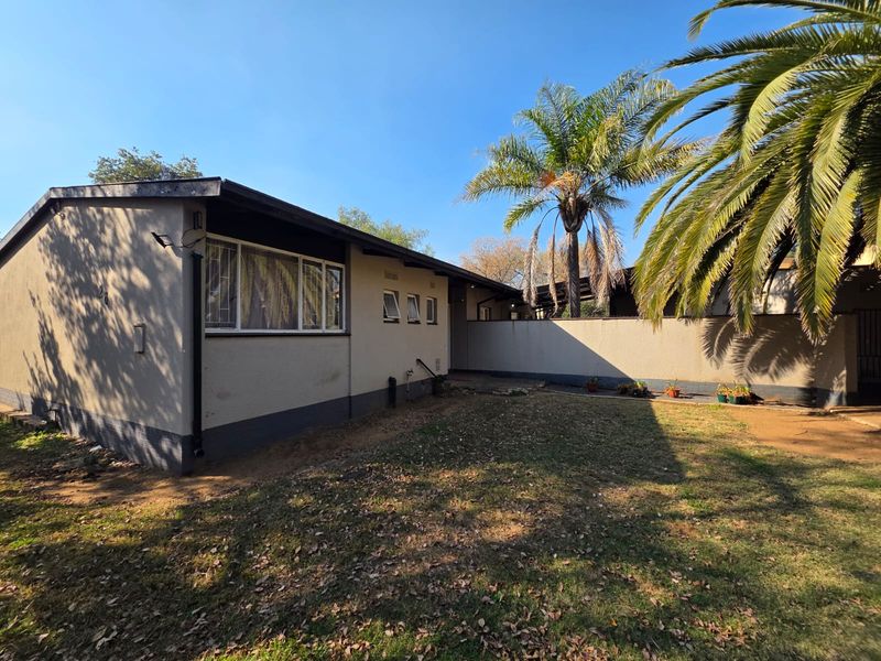 A view of the rear exterior of the house, featuring a lawn area, perimeter wall, and established palm tree.