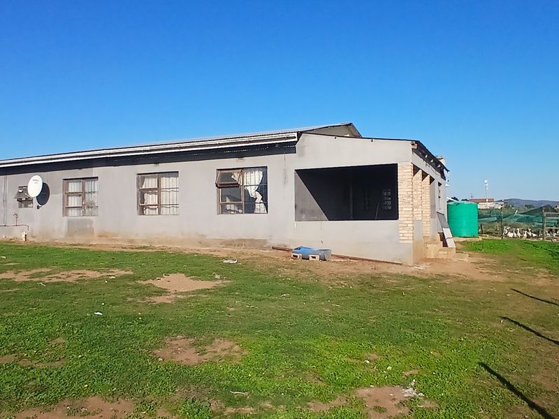 Smallholding close to Uitenhage and easy access to main road - Photo 1