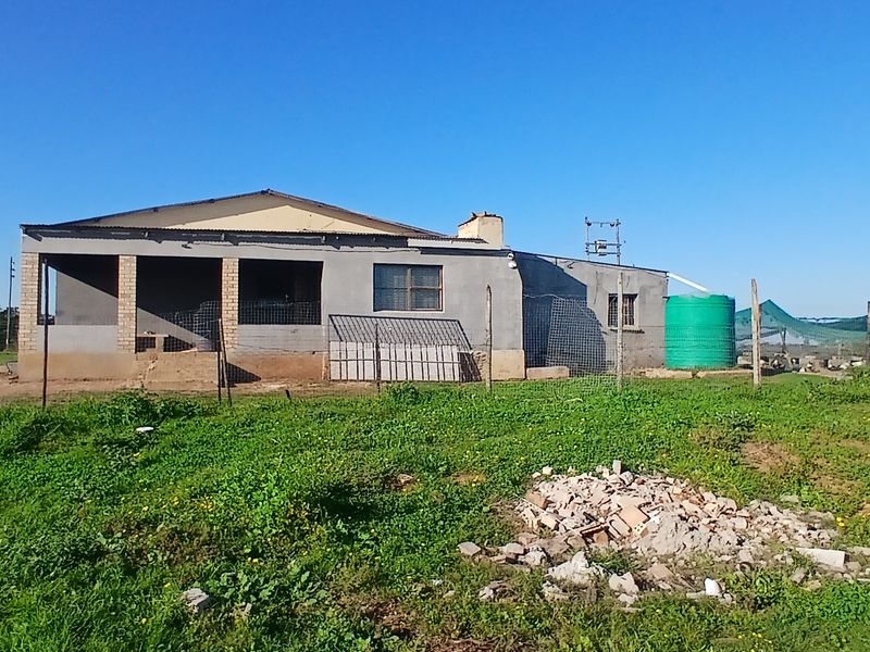 Smallholding close to Uitenhage and easy access to main road - Photo 2
