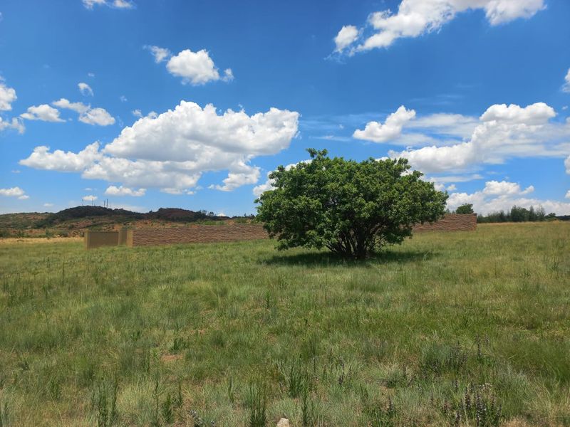 Build Your Dream Home in the Prestigious Berg en Dal Estate, Heidelberg - Photo 10