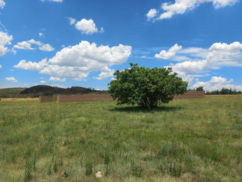 Build Your Dream Home in the Prestigious Berg en Dal Estate, Heidelberg - Photo 9