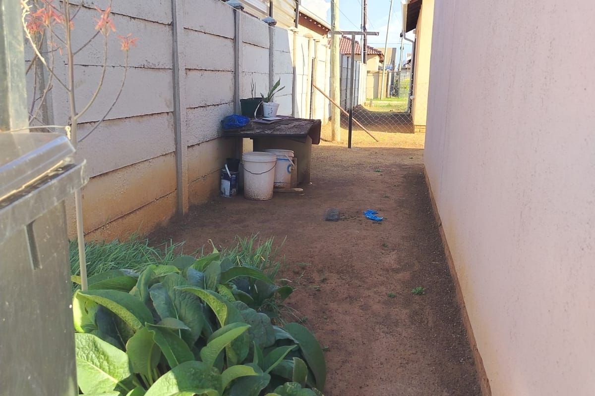 A narrow side passage of the property featuring a concrete boundary wall and unpaved ground area.