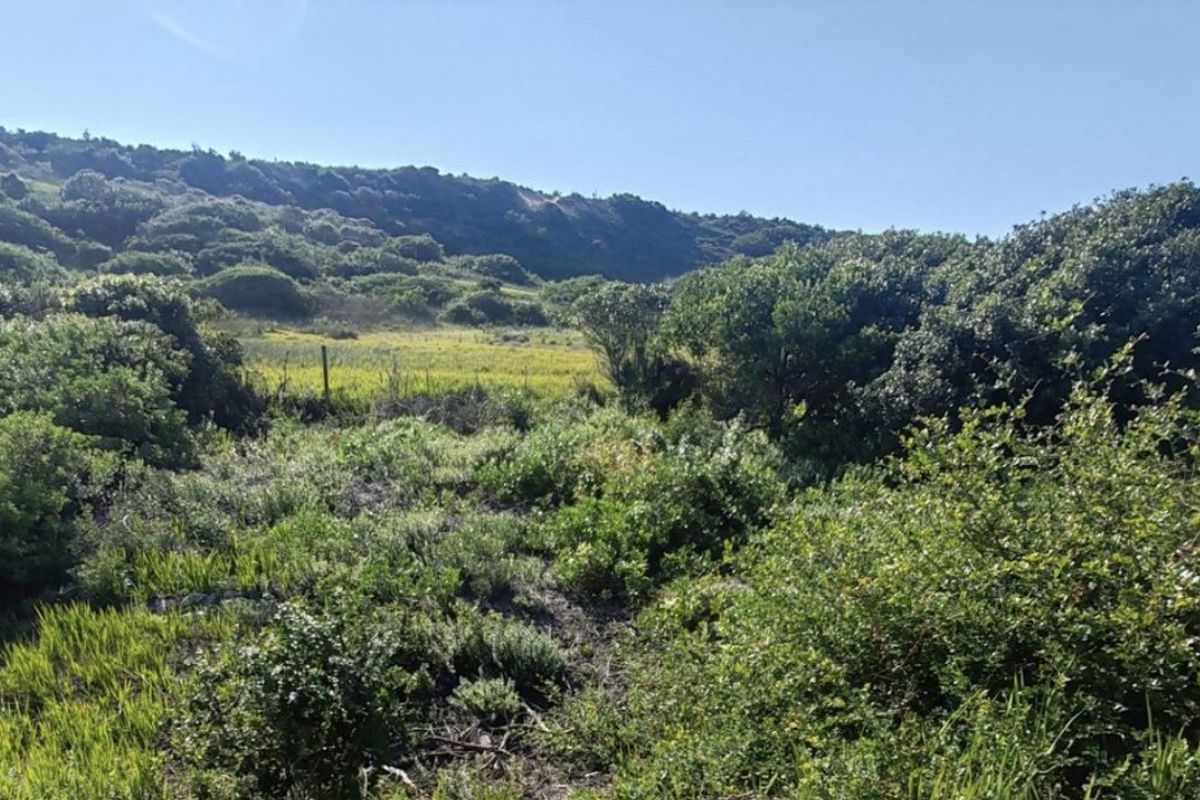 Vacant land in Oyster Bay - Photo 2