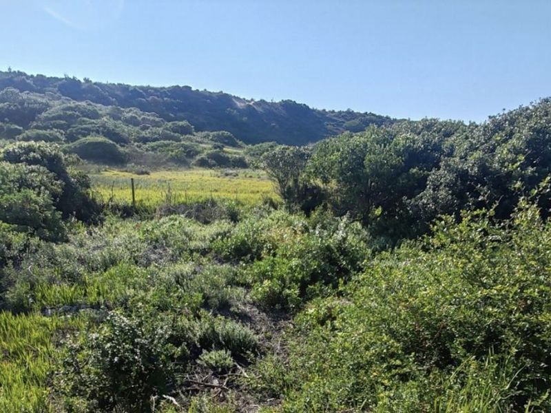 Vacant land in Oyster Bay - Photo 2