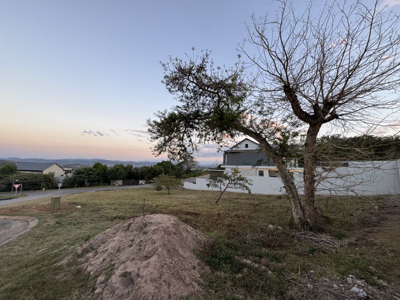 A view of a vacant residential plot featuring a mature tree, boundary wall, and surrounding neighborhood landscape at dusk.