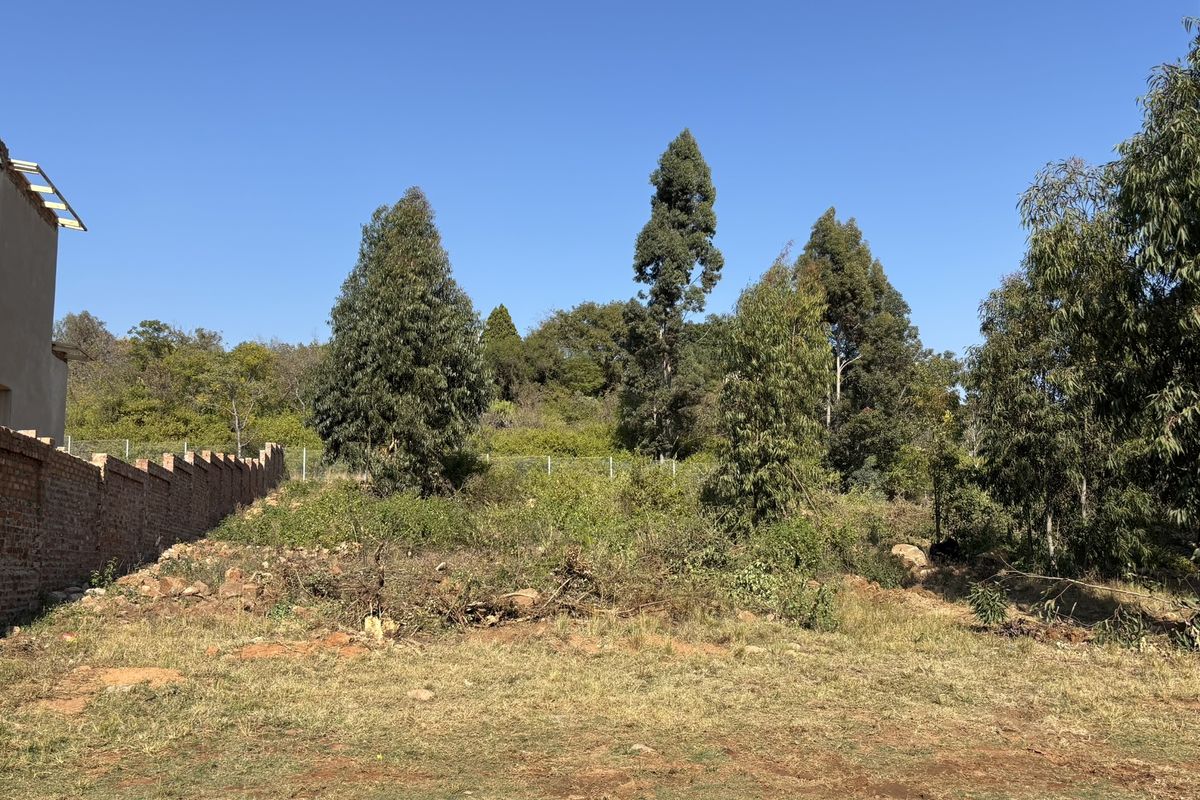 Vacant Stand for sale in Roodepark Eco Estate - Photo 4