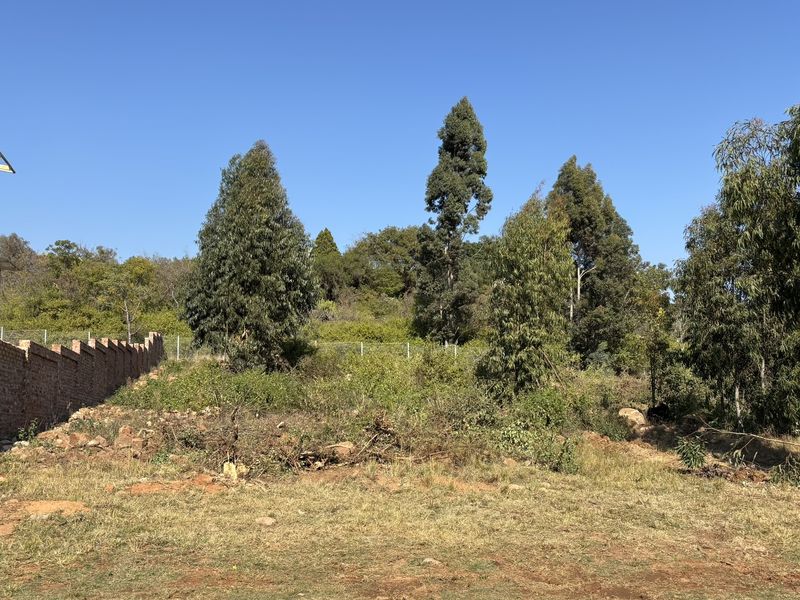 Vacant Stand for sale in Roodepark Eco Estate - Photo 4