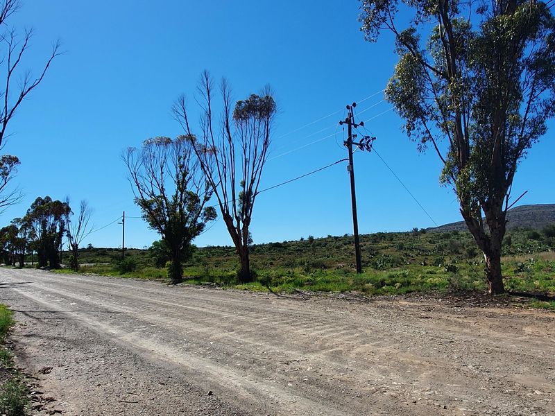 A view of an unpaved dirt road bordering the residential land, featuring mature trees and existing utility infrastructure.