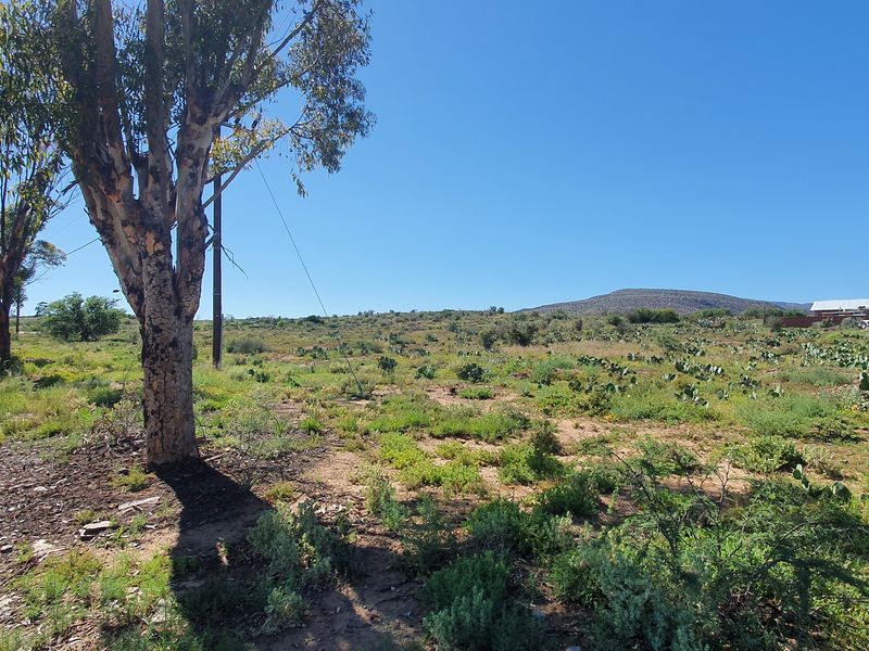 A view of a vacant residential plot featuring native vegetation and direct access from a gravel road.