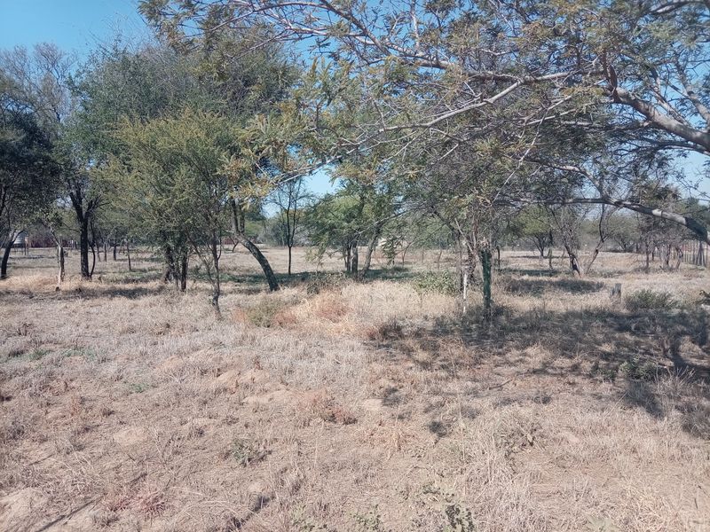 A view of the expansive, natural farm landscape featuring mature trees and open, dry grassland.