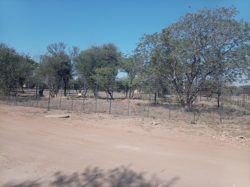 A view of the property frontage featuring wire mesh perimeter fencing, mature trees, and access via an unpaved dirt road.