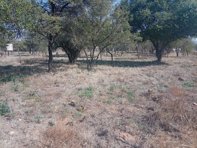 A view of the undeveloped farm land featuring mature trees and a water tank in the distance.