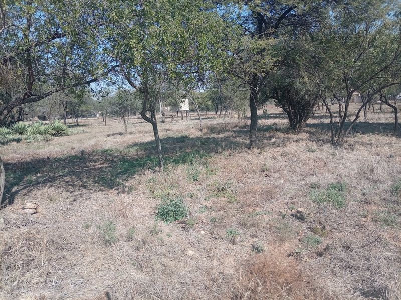 A view of the expansive farm grounds featuring mature trees and a water tank, showcasing the natural landscape of the property.