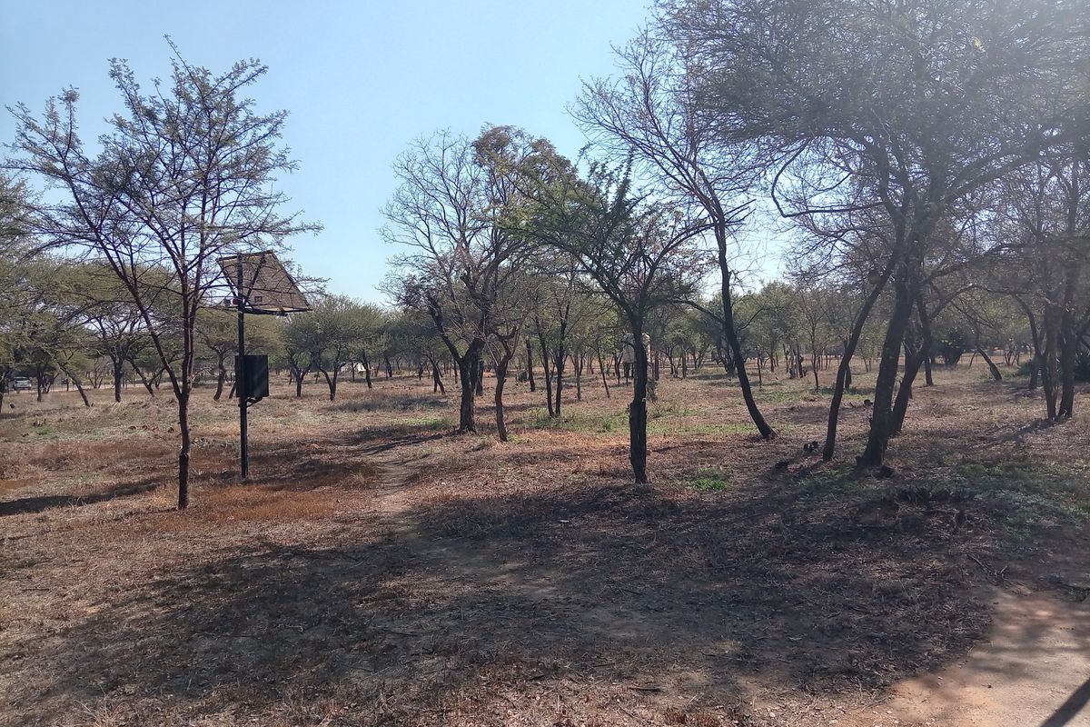 A view of the farm grounds featuring mature trees and a mounted solar panel installation.