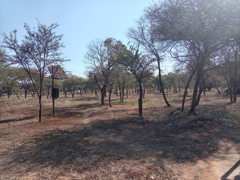 A view of the farm grounds featuring mature trees and a mounted solar panel installation.