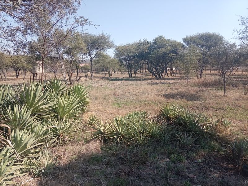 A view of the expansive farm grounds featuring natural vegetation, indigenous trees, and a water storage tank.