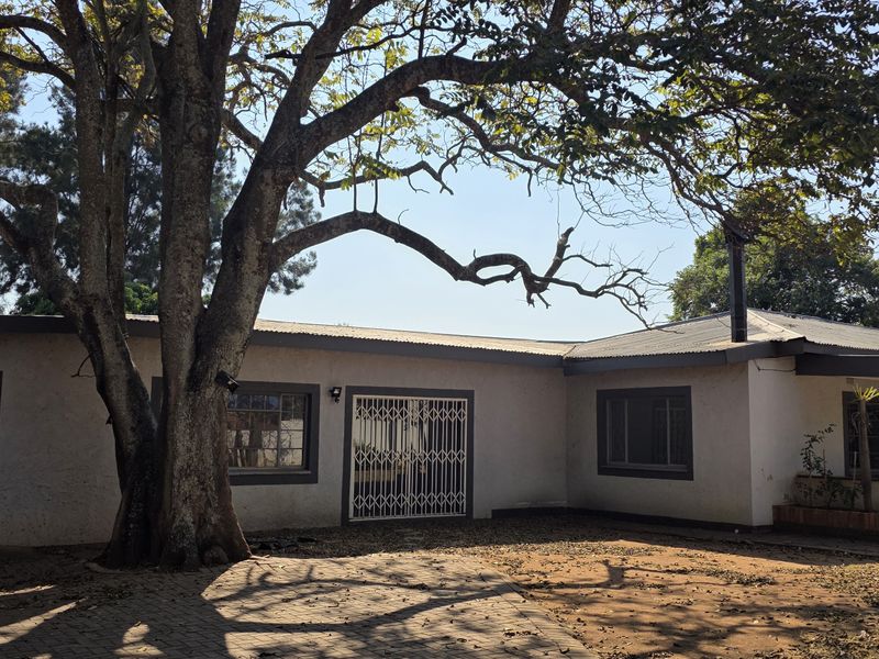 Front exterior view of a single-story house featuring a paved driveway, garage, and covered porch area under a large mature tree.