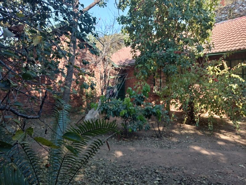 A view of the rear garden area featuring mature trees and a face brick exterior wall with a tiled roof.