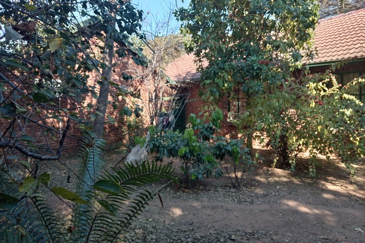A view of the rear garden area featuring mature trees and a face brick exterior wall with a tiled roof.