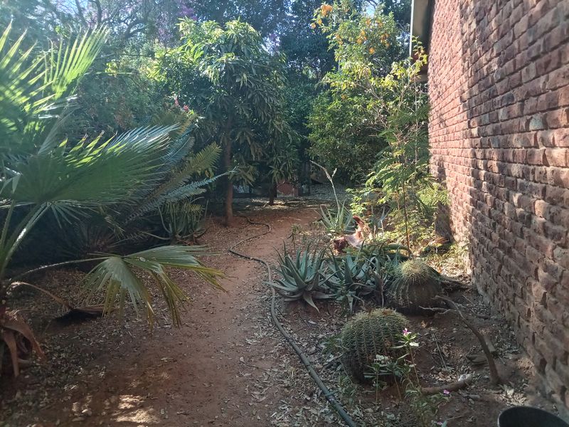 A side garden area featuring mature trees, various succulents, and an exposed brick exterior wall of the house.