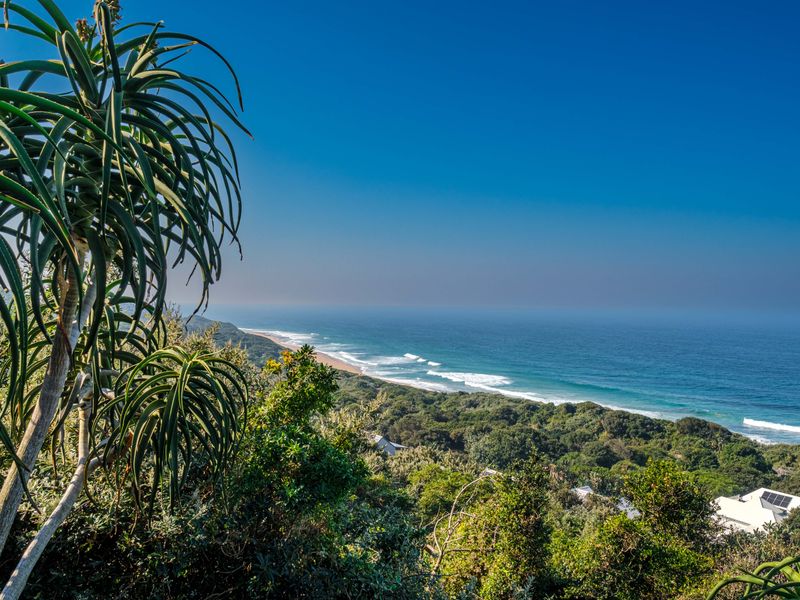 A scenic elevated view overlooking the coastline, lush coastal vegetation, and the ocean.