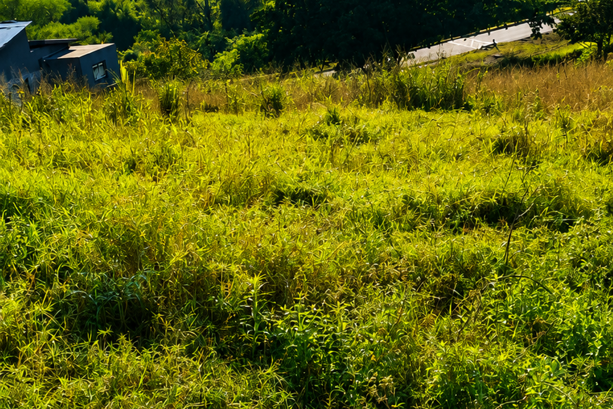 A scenic view of a sloped, grassy vacant residential plot featuring rolling hills and natural landscape in the background.