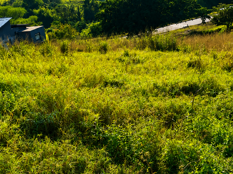 A scenic view of a sloped, grassy vacant residential plot featuring rolling hills and natural landscape in the background.