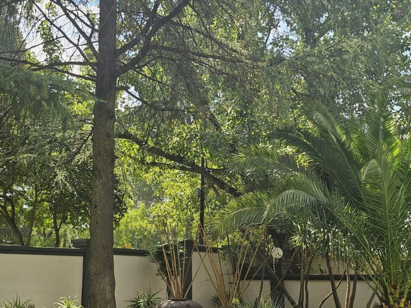 A well-maintained garden area featuring a manicured lawn, mature trees, and a solid boundary wall providing privacy and greenery.