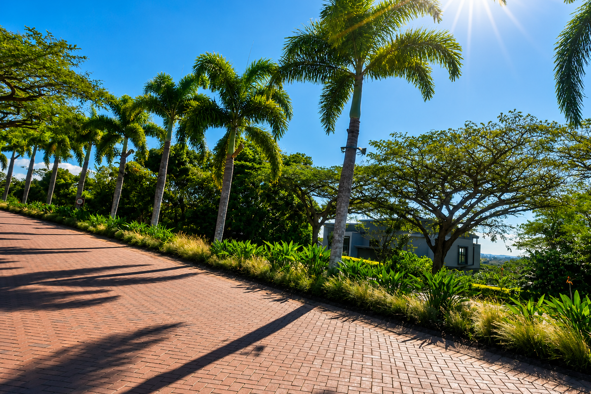 A well-maintained brick paved driveway lined with mature palm trees and landscaped garden beds, leading towards a residential property.