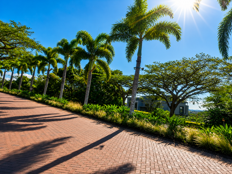A well-maintained brick paved driveway lined with mature palm trees and landscaped garden beds, leading towards a residential property.