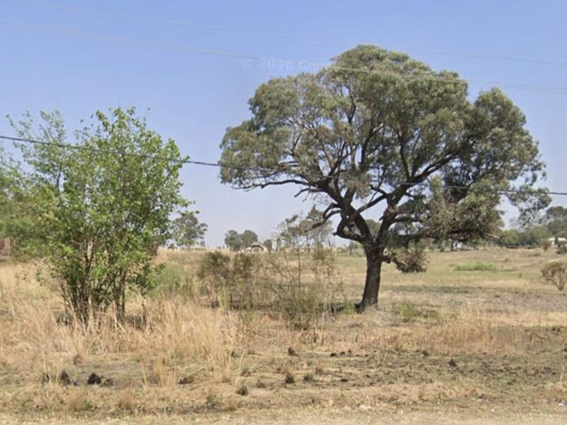 A view of a vacant residential plot featuring natural grassland and mature trees, with overhead power lines visible.