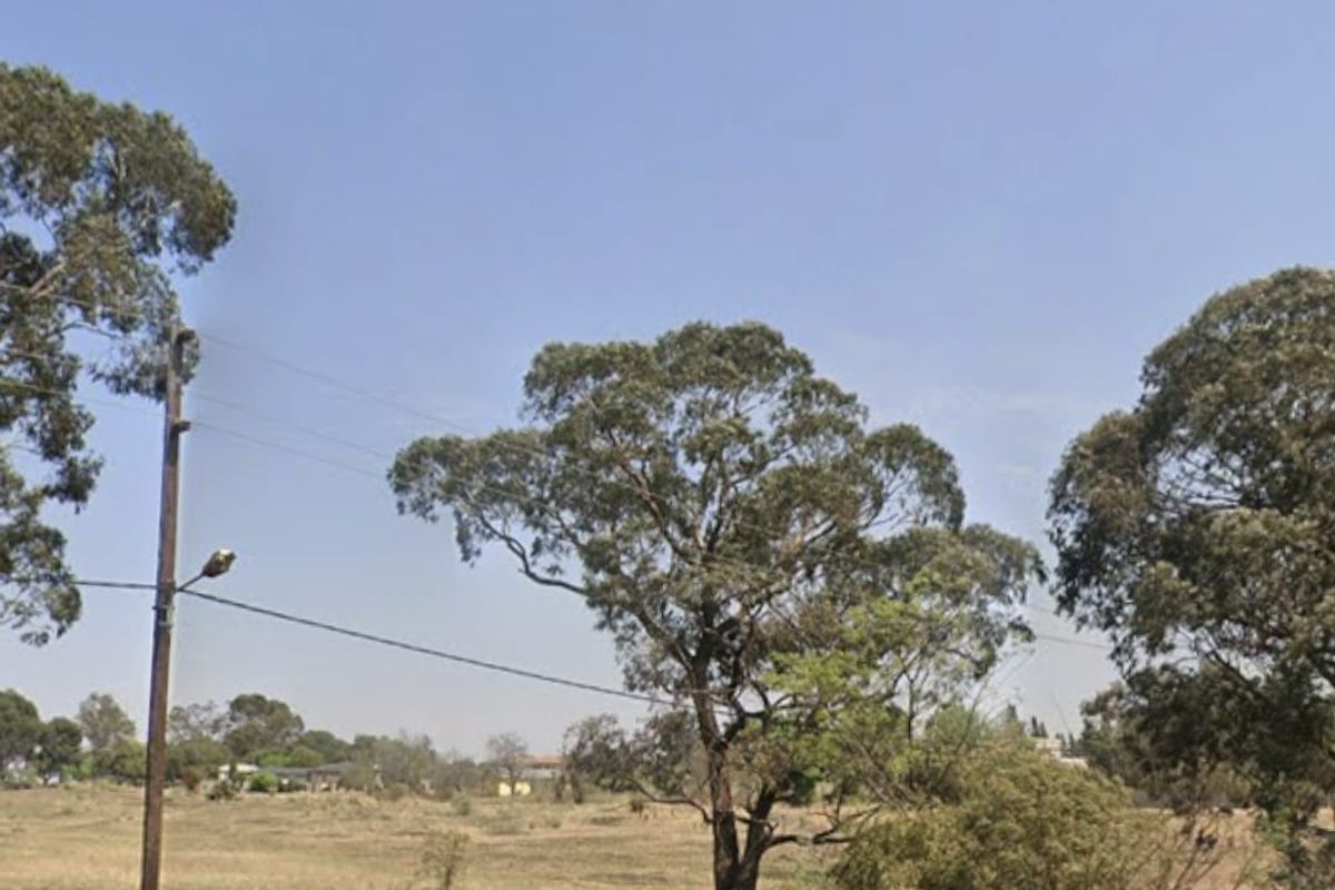 A view of a vacant residential plot featuring mature trees, dry grass, and existing utility infrastructure.