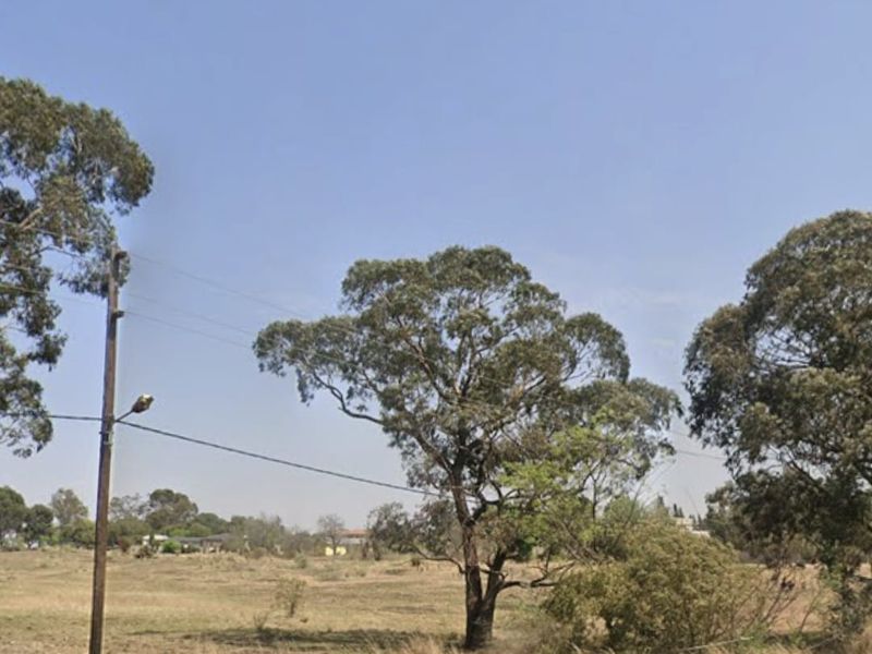 A view of a vacant residential plot featuring mature trees, dry grass, and existing utility infrastructure.