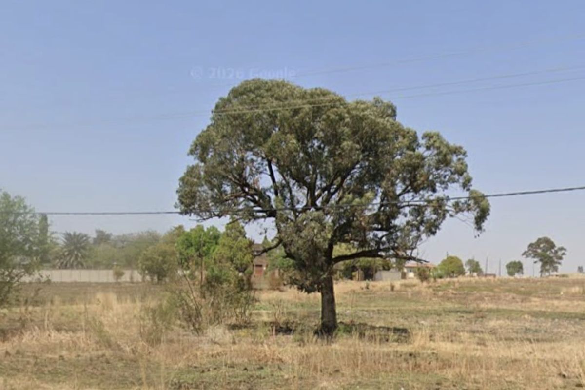 A view of a vacant residential plot featuring a mature tree and overhead power lines, viewed from the adjacent road.