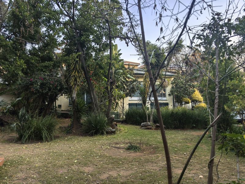 A view of the rear garden featuring mature trees and established landscaping, providing a private outdoor space behind the main residence.