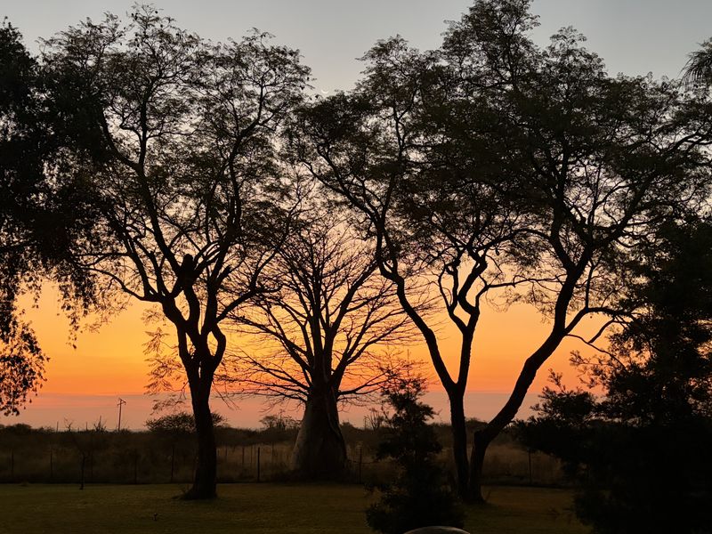 A scenic sunset view over the farm landscape, featuring mature trees and open grounds.