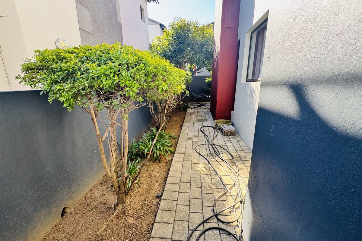 A narrow side passage featuring a paved walkway, boundary walls, and established garden beds between two residential structures.