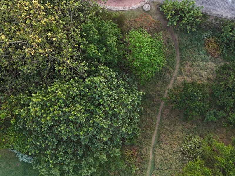 An aerial view of a residential plot featuring mature trees, established vegetation, and a natural pathway.
