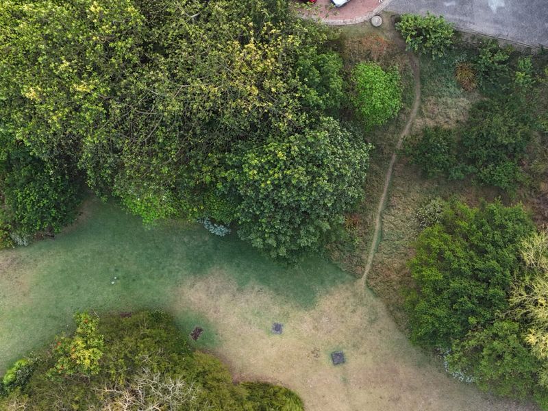 An aerial view of a residential vacant land plot featuring established trees, a grassy lawn, and a natural pathway.