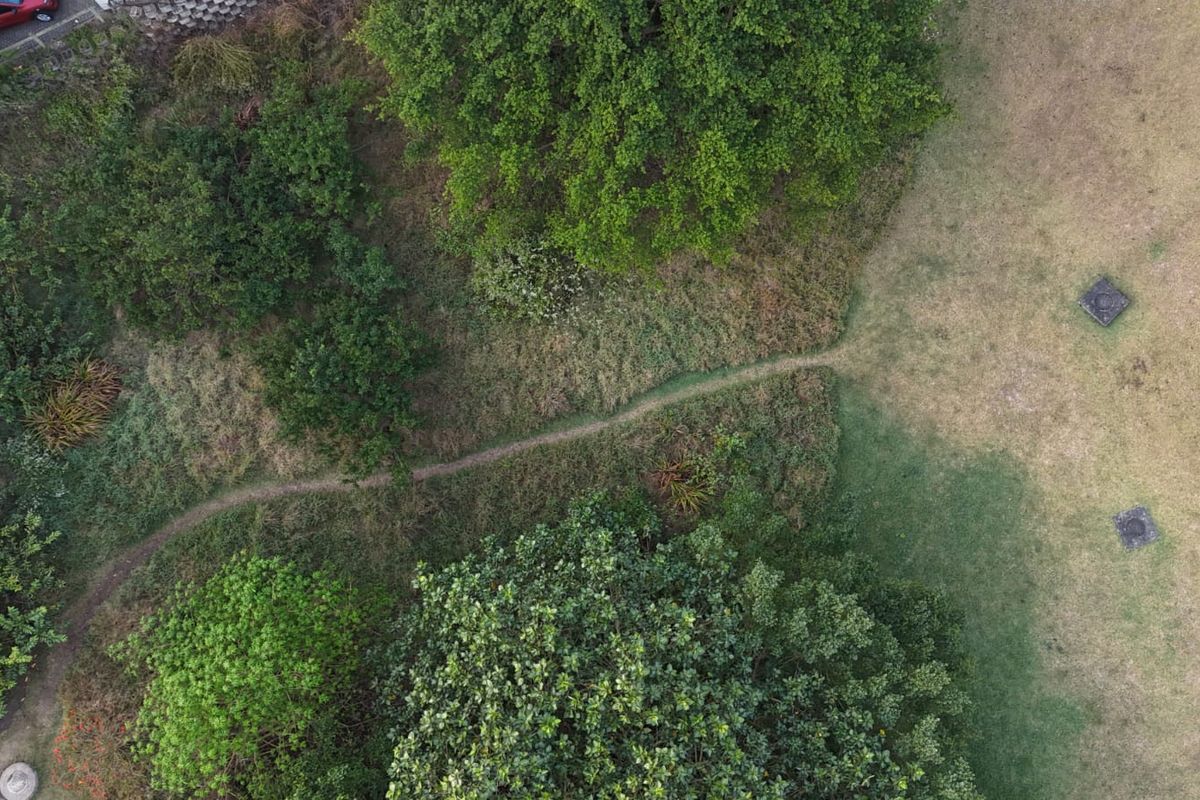 An aerial view of a residential plot featuring mature trees, natural grassland, and a winding pathway through the landscape.
