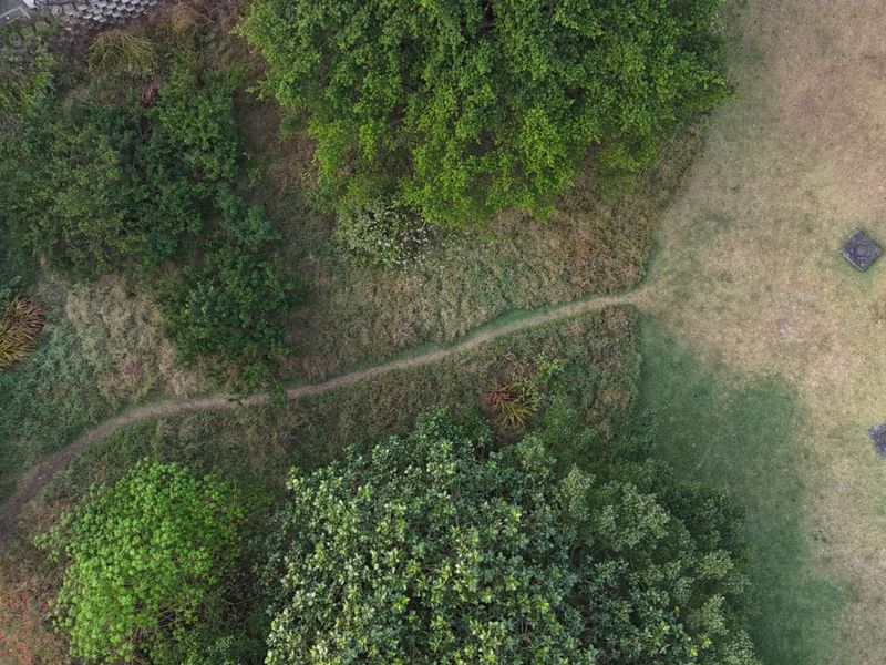 An aerial view of a residential plot featuring mature trees, natural grassland, and a winding pathway through the landscape.