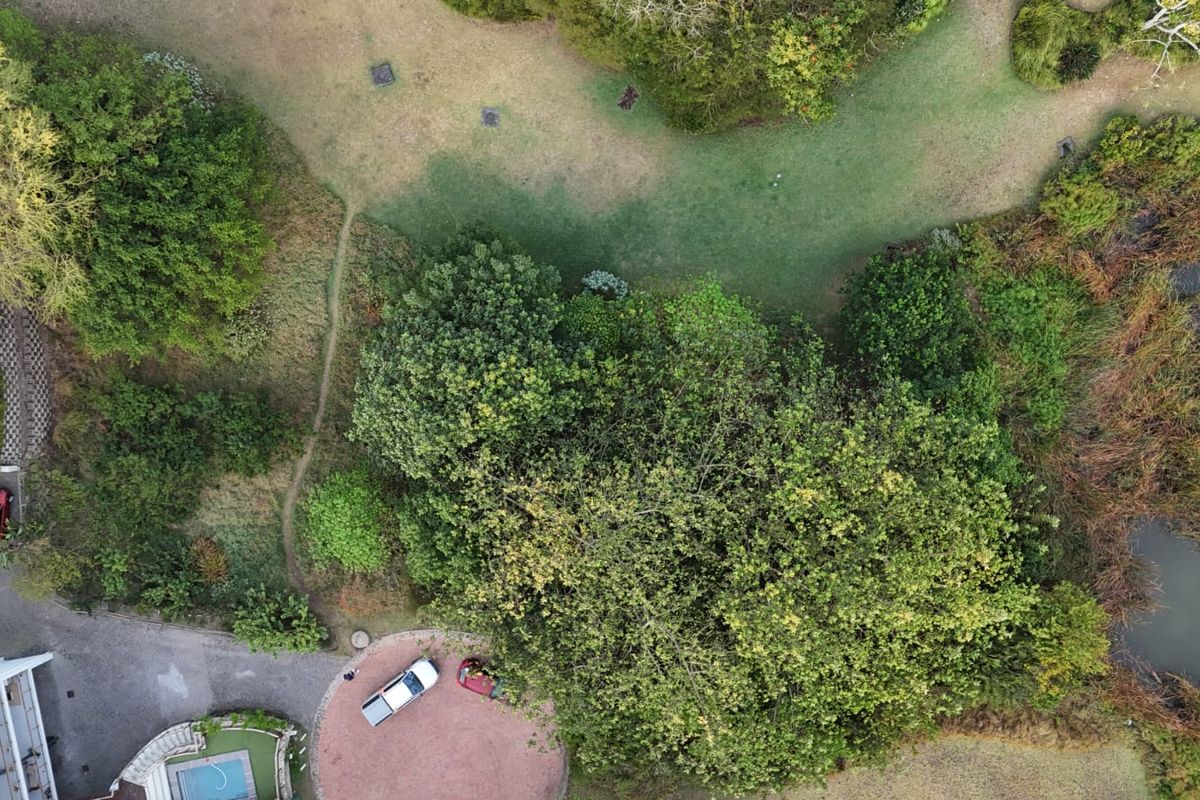 Aerial view of a residential property featuring mature trees, landscaped lawn areas, and proximity to a natural water feature.