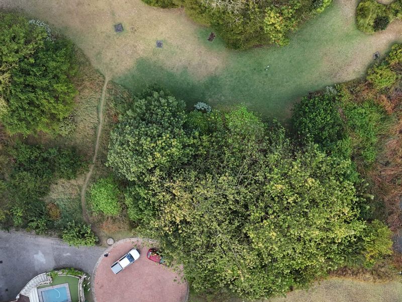 Aerial view of a residential property featuring mature trees, landscaped lawn areas, and proximity to a natural water feature.