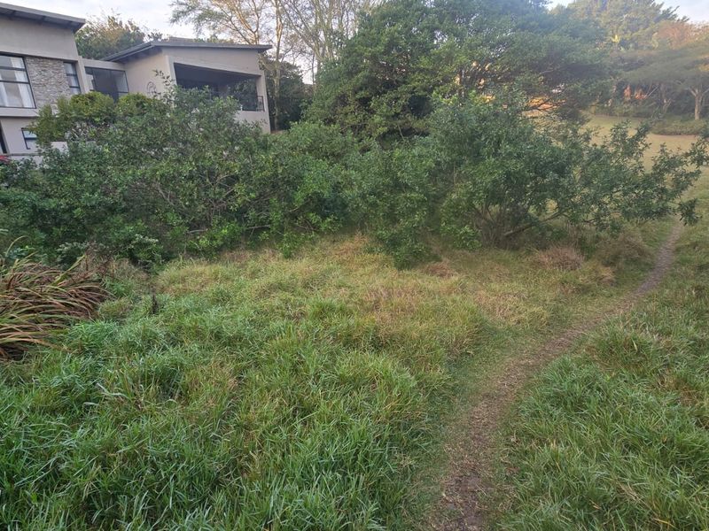 A view of a natural, undeveloped residential plot featuring established trees, wild grass, and a small footpath.