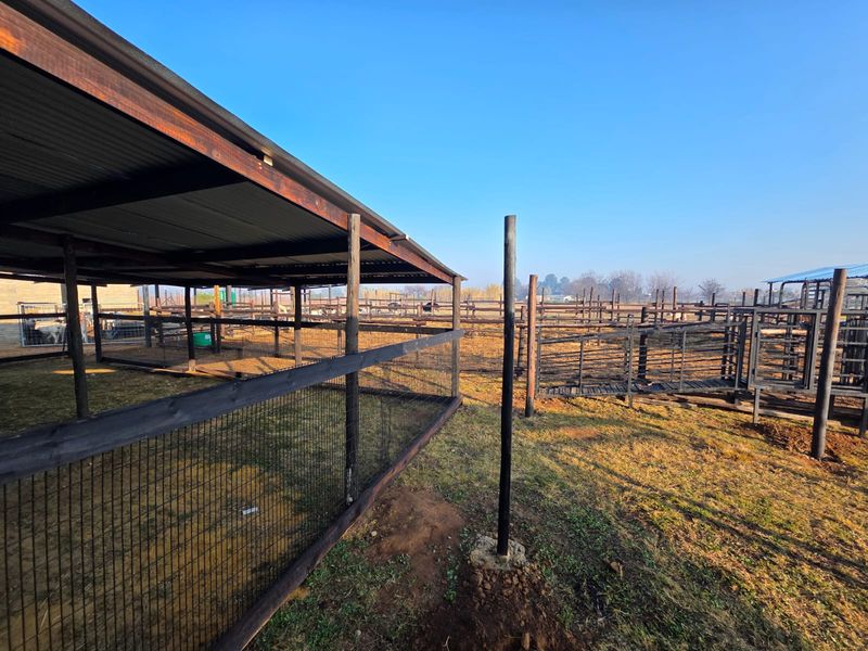 Outdoor livestock handling facility featuring covered pens, wire mesh fencing, and a loading ramp in a rural setting.