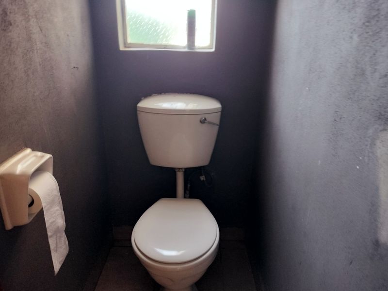 A small, functional toilet room featuring dark painted walls and a standard white toilet suite.